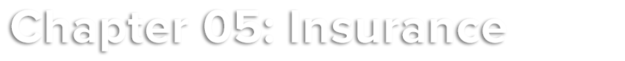 Insurance Title Image Chapter 05: Insurance