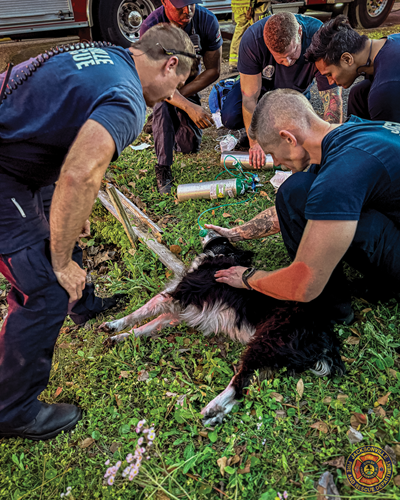Photo of JFRD firefighters with dog