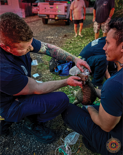 Photo of JFRD firefighters with cat