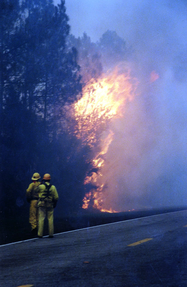 Florida wildfire